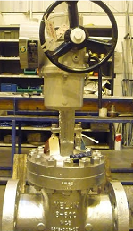 Gate Valve WCB Body With Electric Actuator