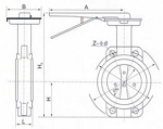 SS BUTTERFLY VALVE