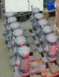 Flg ANSI 150 WCB Ball Valves