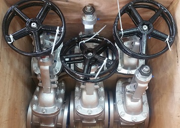 WCB Gate Valves Trim 8